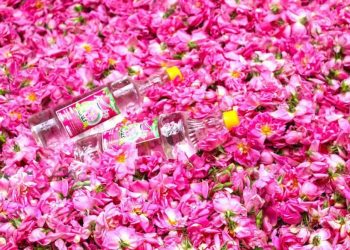 خواص گلاب برای پوست و مو
